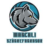 Szoros mérkőzésekkel kezdtek az u12-es kosarasok a bajnoki rajton