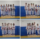 Ju-Jitsu-2024 Fighting Liga