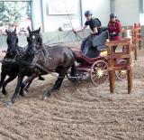 Országos Fedeles Versenysorozat döntő