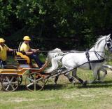 „Bemelegítés” Lókon ….