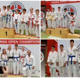 Ju-Jitsu – Vienna Open Championship – 5 aranyérem!