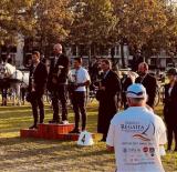 “C” kategóriás kettes fogathajtó verseny