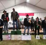 Véget ért a CAN-C kategóriás kettesfogathajtó országos bajnokság