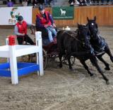 Fedettpályás Fogathajtó Döntő