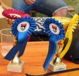 Lovas verseny Marcaliban … 